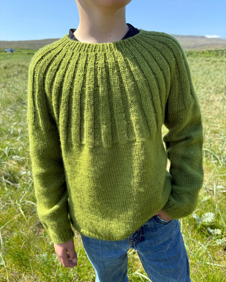 Haralds Sweater